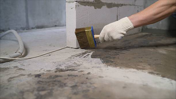 SJ Waterproofing Pros Basement Waterproofing coverage map for Ridge, MD and surrounding area